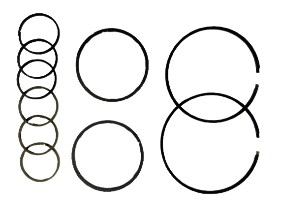 24434.jpg