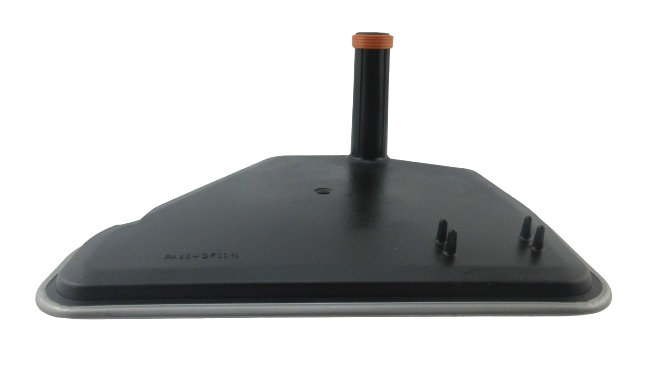 31710.jpg