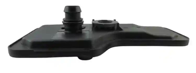 31774.jpg