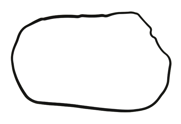 31808.jpg
