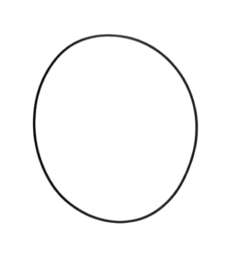 22445.jpg