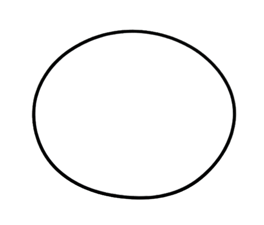 22449.jpg