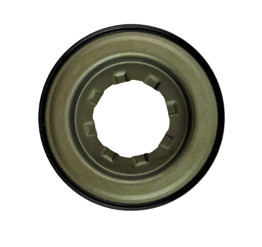17300.jpg