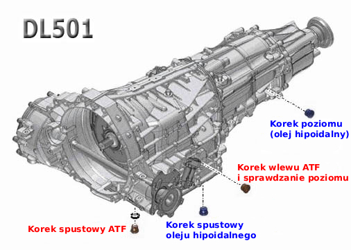 Schemat podziału sekcji DL501